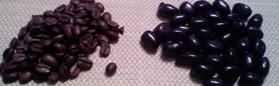 CaffiNation 218: A Duality of Beans