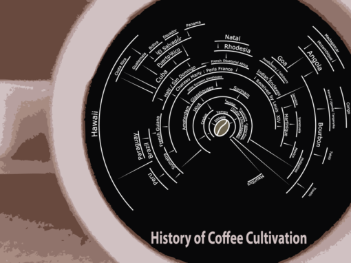 History of Coffee Cultivation