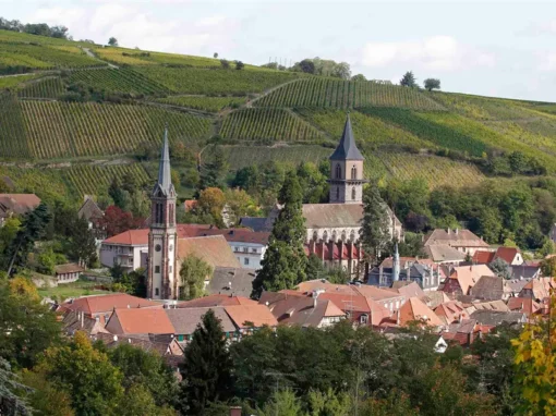 M&M’s causing a buzz