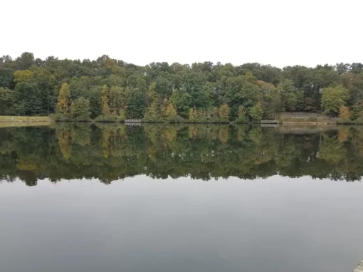 CaffiNation 548: Calm before the storm