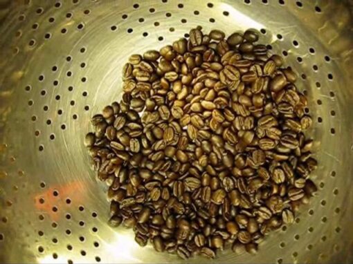 CaffiNation on TPN Weekly #27