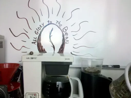 All glory to the Bean