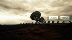 Signal To Noise by Douglas Koke
