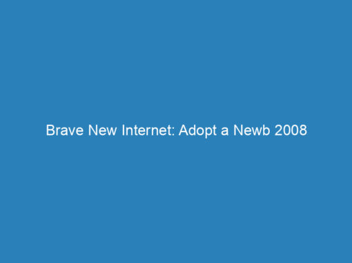 Brave New Internet: Adopt a Newb 2008