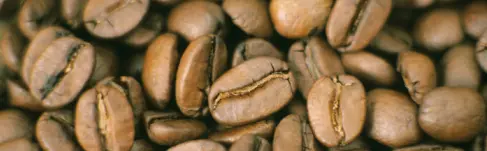 The rituals of coffee