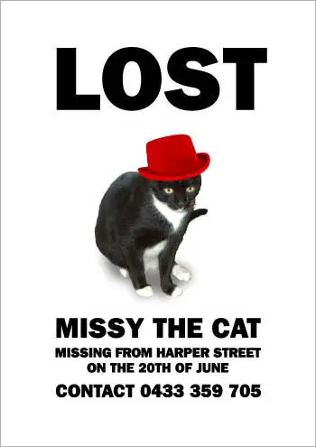 Missy the Missing Cat