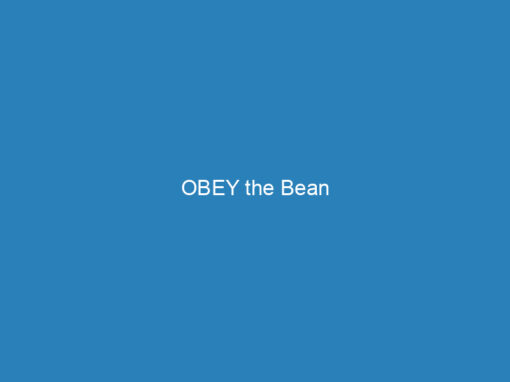 OBEY the Bean