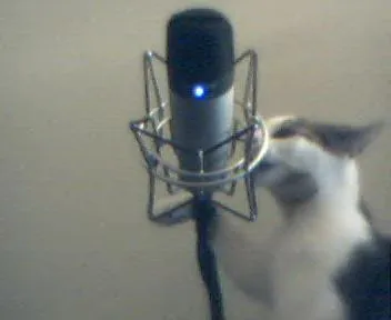 Caffination 131: Kind words