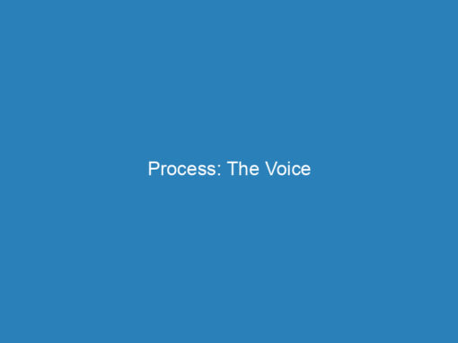 Process: The Voice