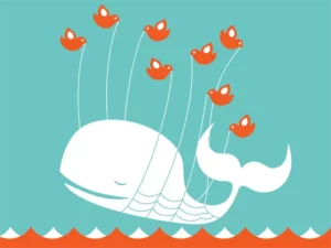 Fail Whale’s Story